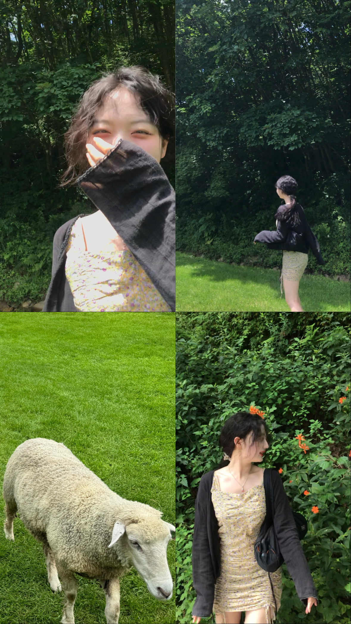 Paegol tattoo•패골 타투