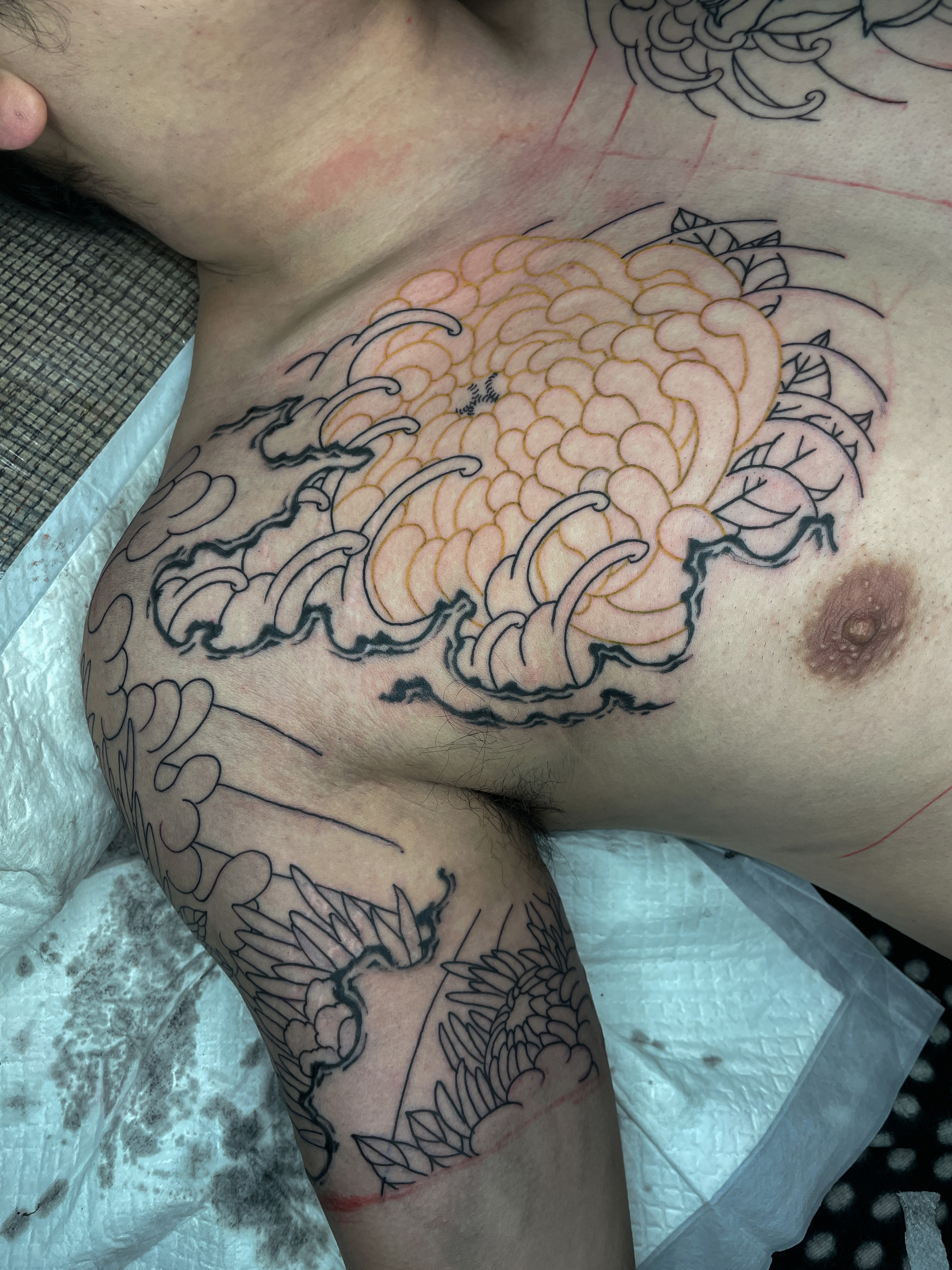 ๊ฐ์ด๋ฐํ ๋ผ์ธ ํํฌ: ์ ๋ฆผ ์๋์ ์์ ์ ์ ๊ทผ