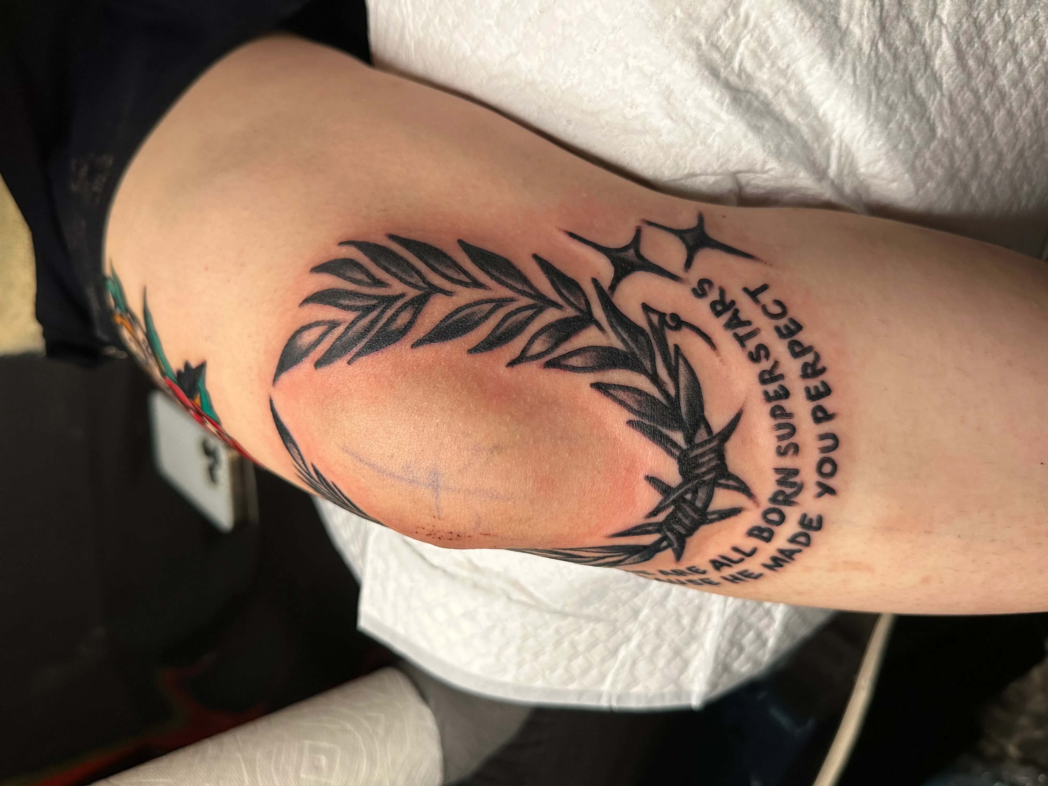 ๋ ํฐ๋ง ํํฌ ์คํ์ผ๊ณผ ์์ง์ฑ ๋ถ์