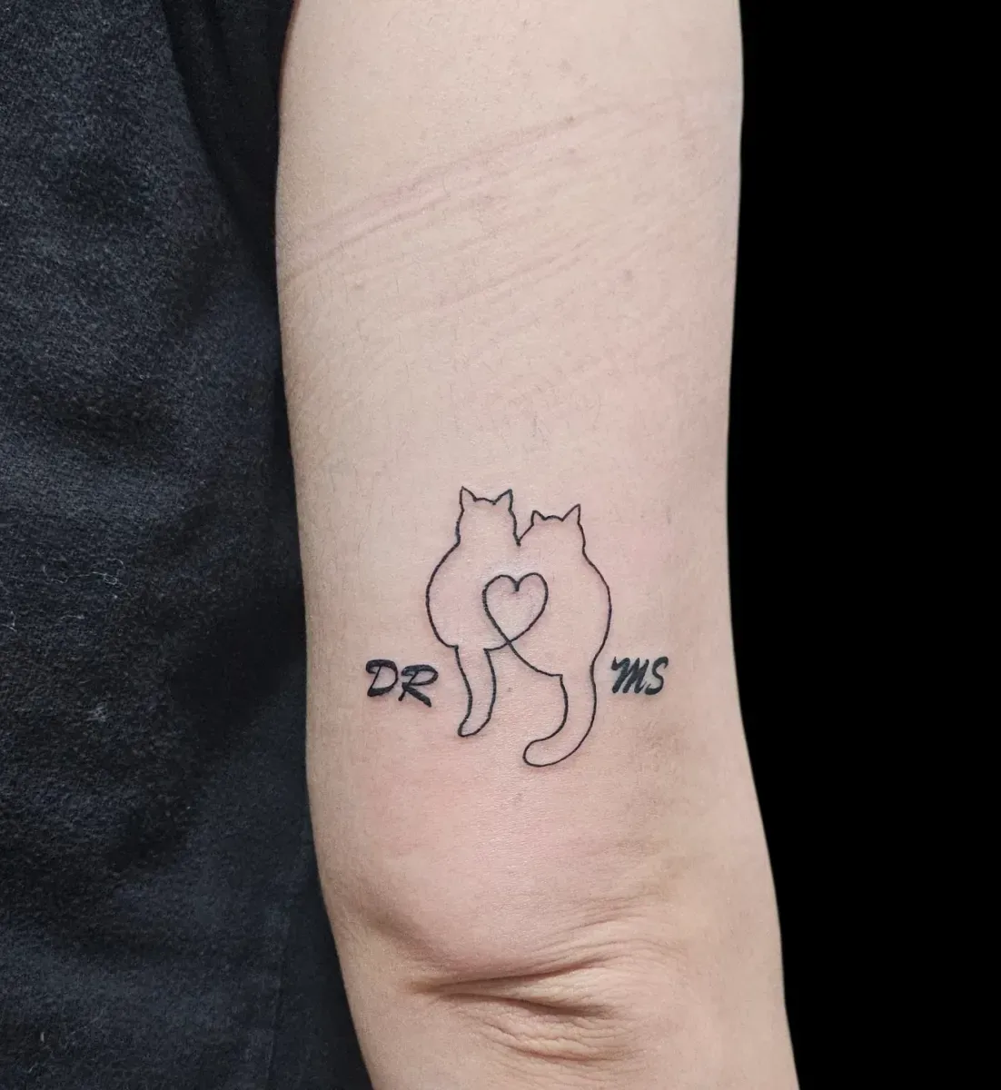 ๋ผ์ธ์ํฌ ๊ณ ์์ด ํํฌ: ์์ฐ์์ ๋ง๋๋ ํน๋ณํ ๋์์ธ