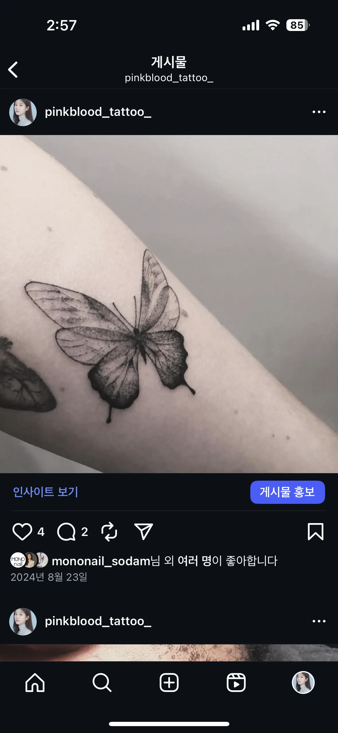 감성타투: 나비 라인워크 분석