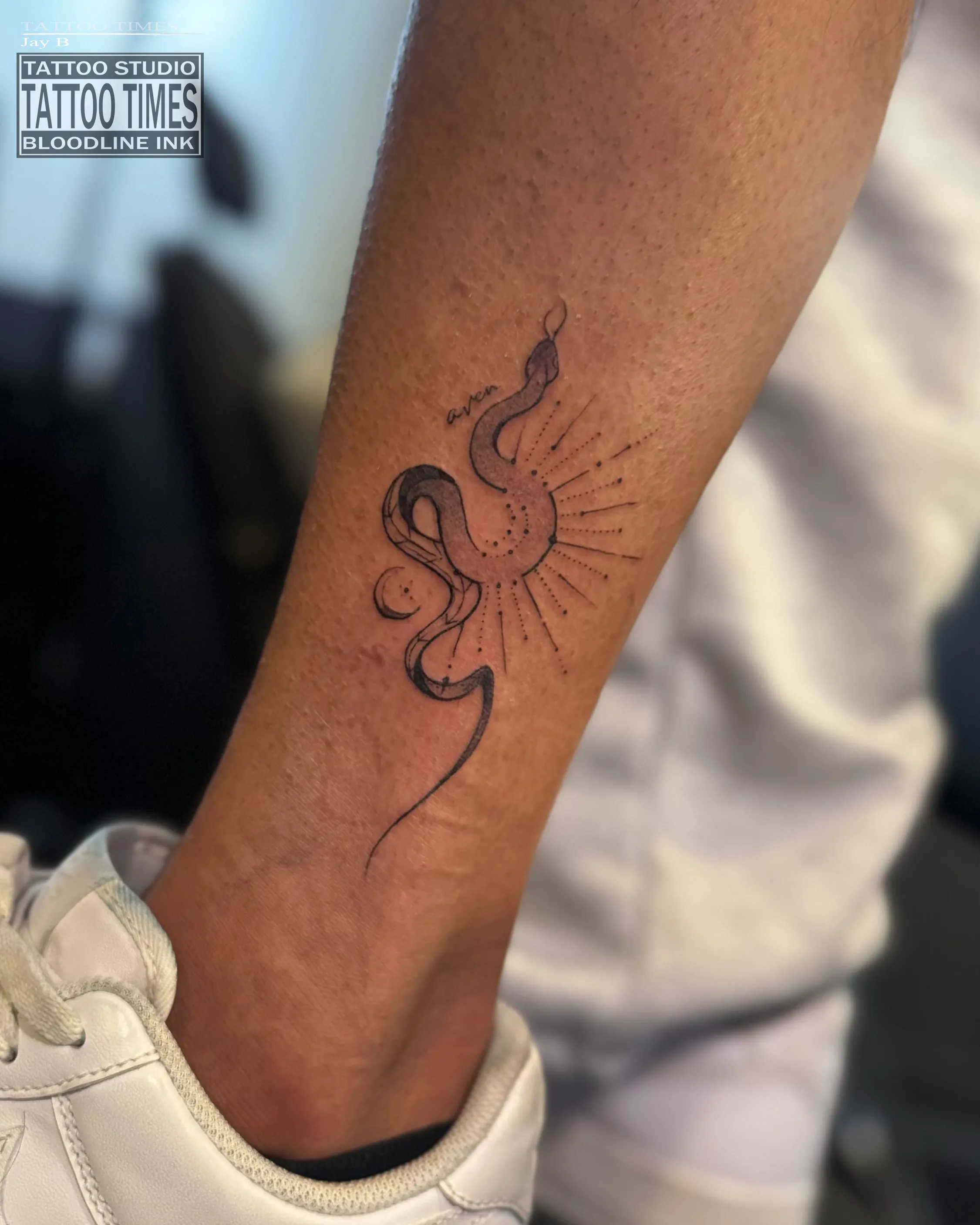 라인워크 뱀 타투 - 타투타임스 제이비