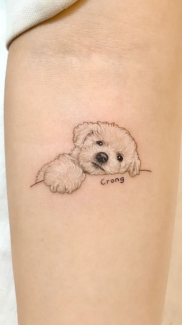 펫 타투: 자연스러움이 돋보이는 반려견 타투