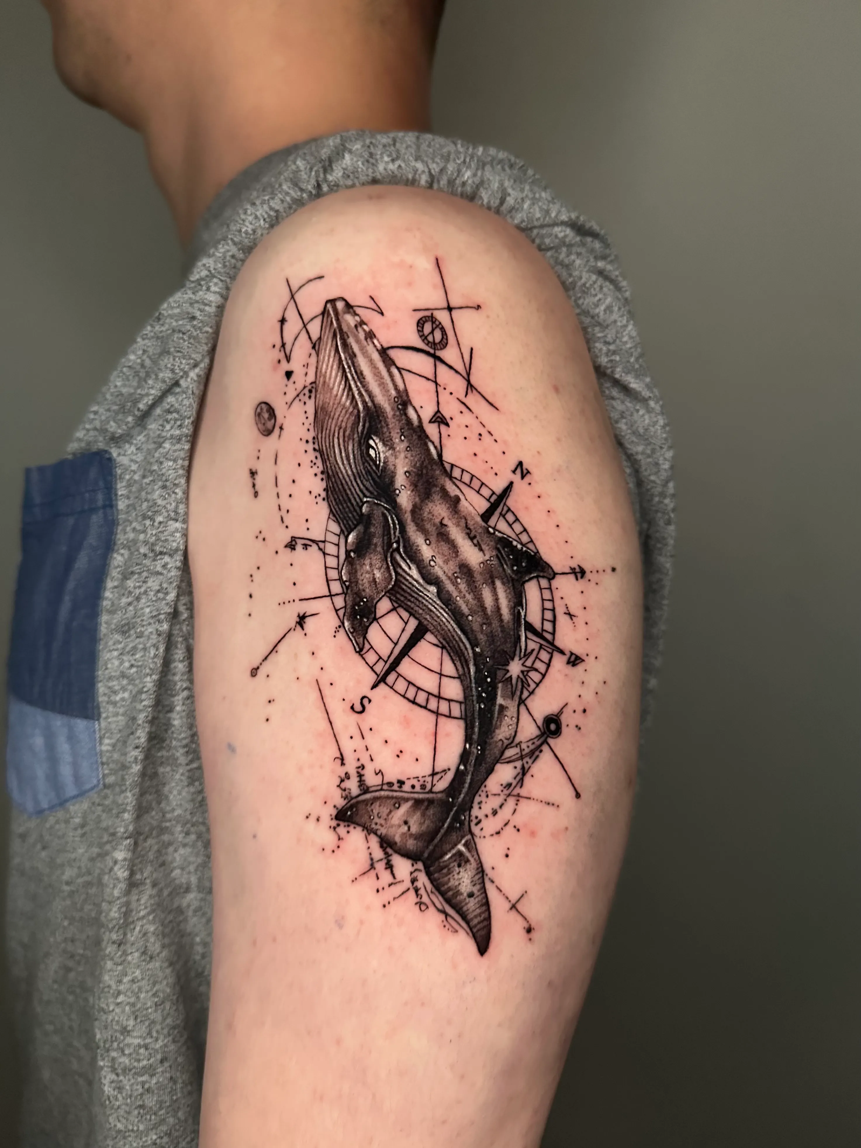 ๋ฆฌ์ผ๋ฆฌ์คํฑ ๊ณ ๋ ํํฌ: ์ด๊นจ์ ์๊ธด ๊น์ ์๋ฏธ