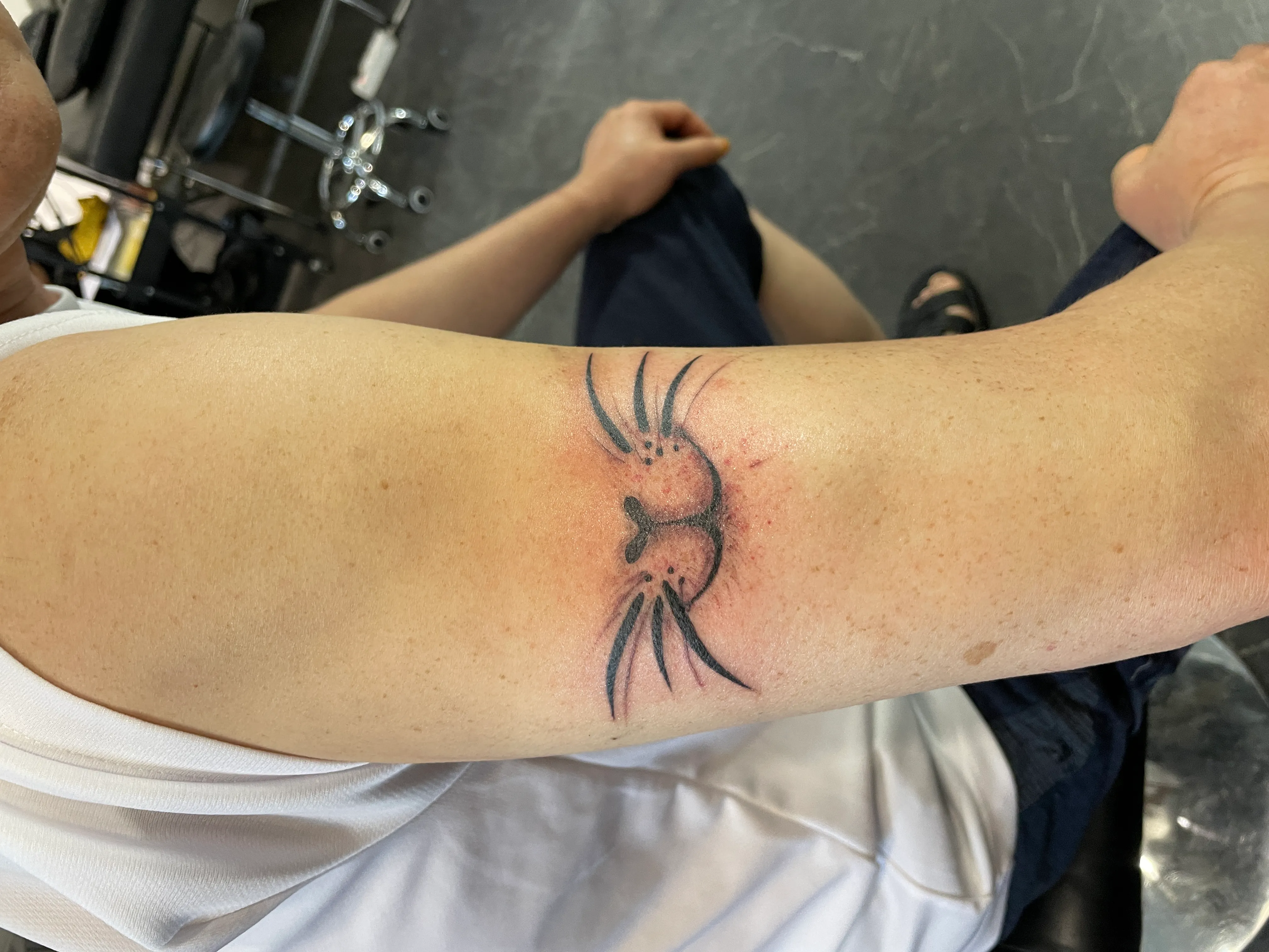 ๊ณ ์์ด ํํฌ: ๊ท์ฌ์ด ๊ฐ์ฑ ํฌ์ธํธ๋ก ํ์ ์๊ธฐ๋ค