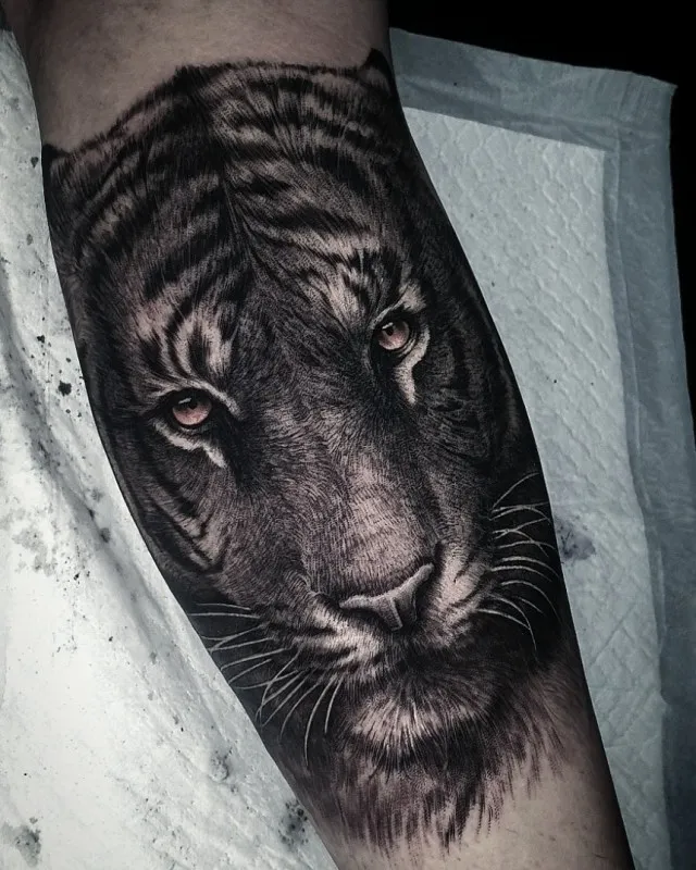 종아리에 새긴 맹수의 눈빛, 리얼리즘 호랑이 타투