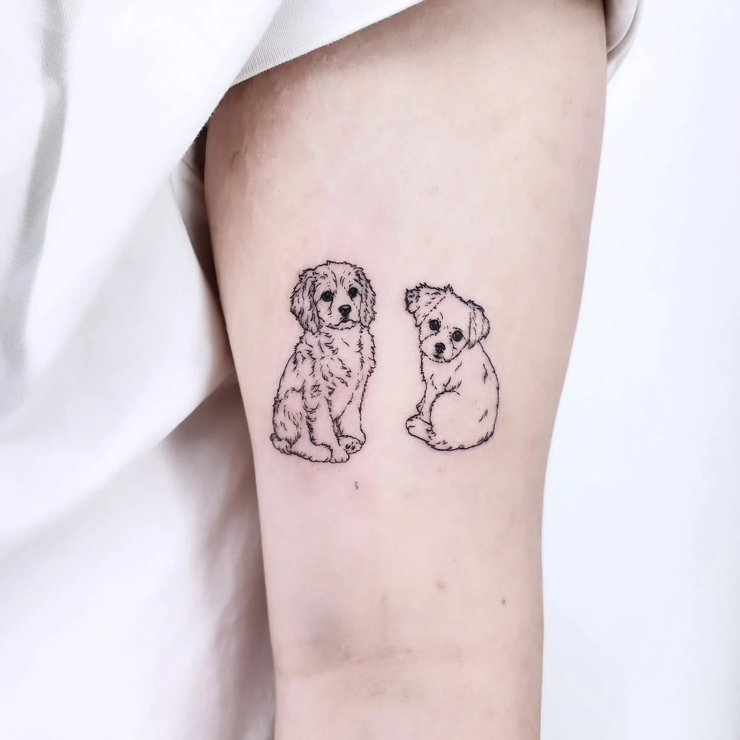 반려견 사랑을 담은 강아지타투 소개