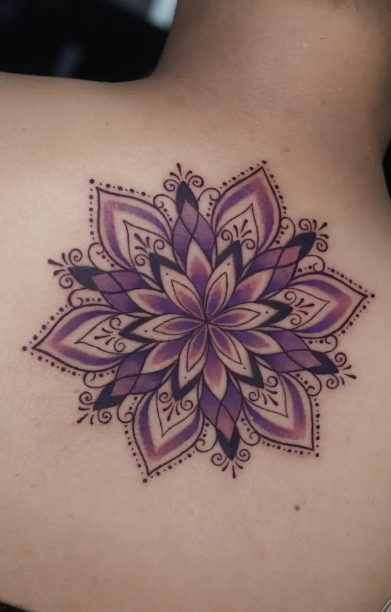 ์ปฌ๋ฌ ๋ง๋ค๋ผ ํํฌ: ์ฐฝ์ํํฌ์ฐฌ์ ๋
ํนํ ๋ณด๋ผํค ์ผ๋ฌ์คํธ