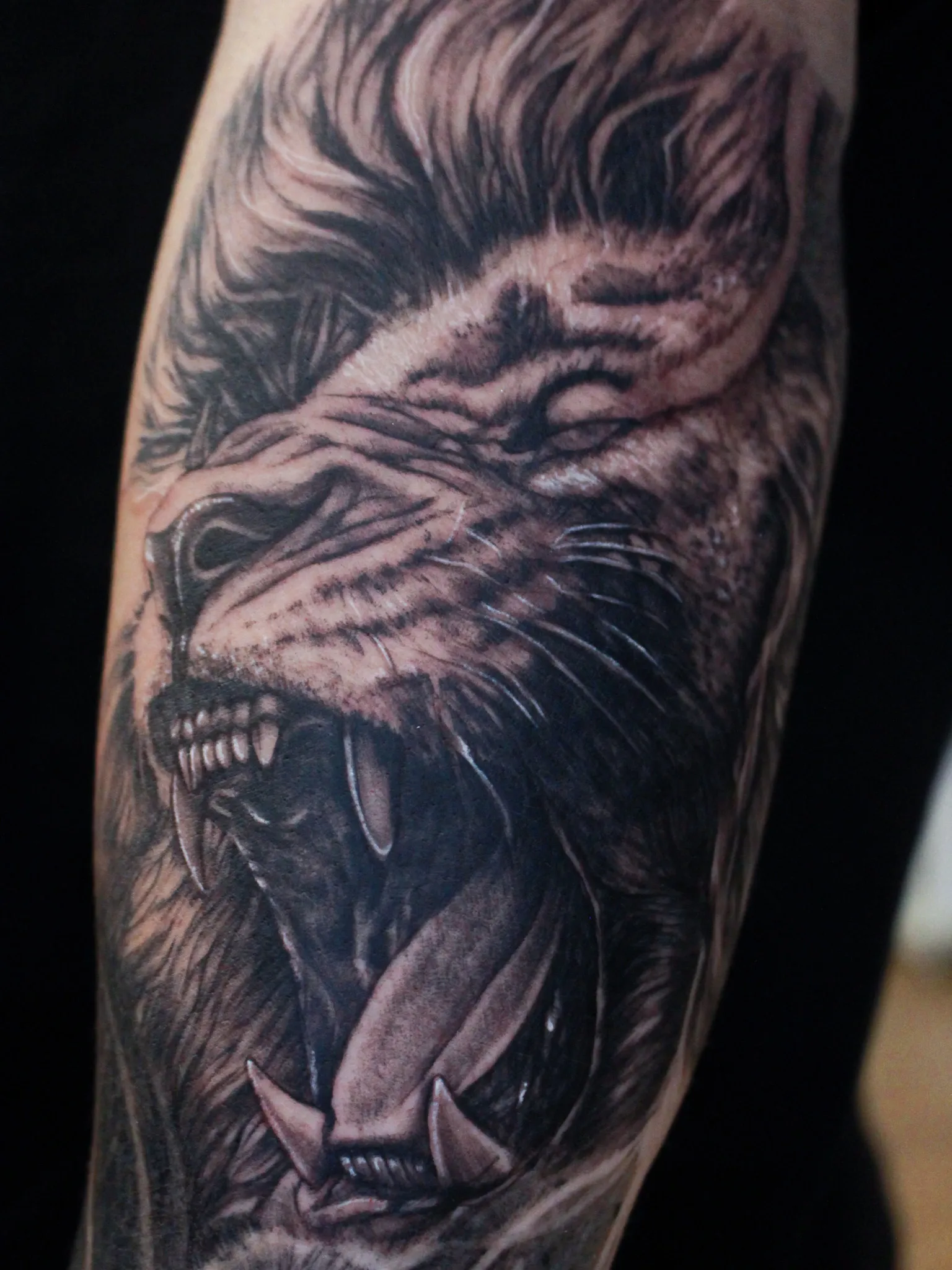 ๋ฆฌ์ผ๋ฆฌ์คํฑ ์ฌ์ ํํฌ: ์งํฅํํฌ์ ์ ๊ตํ ์ํ