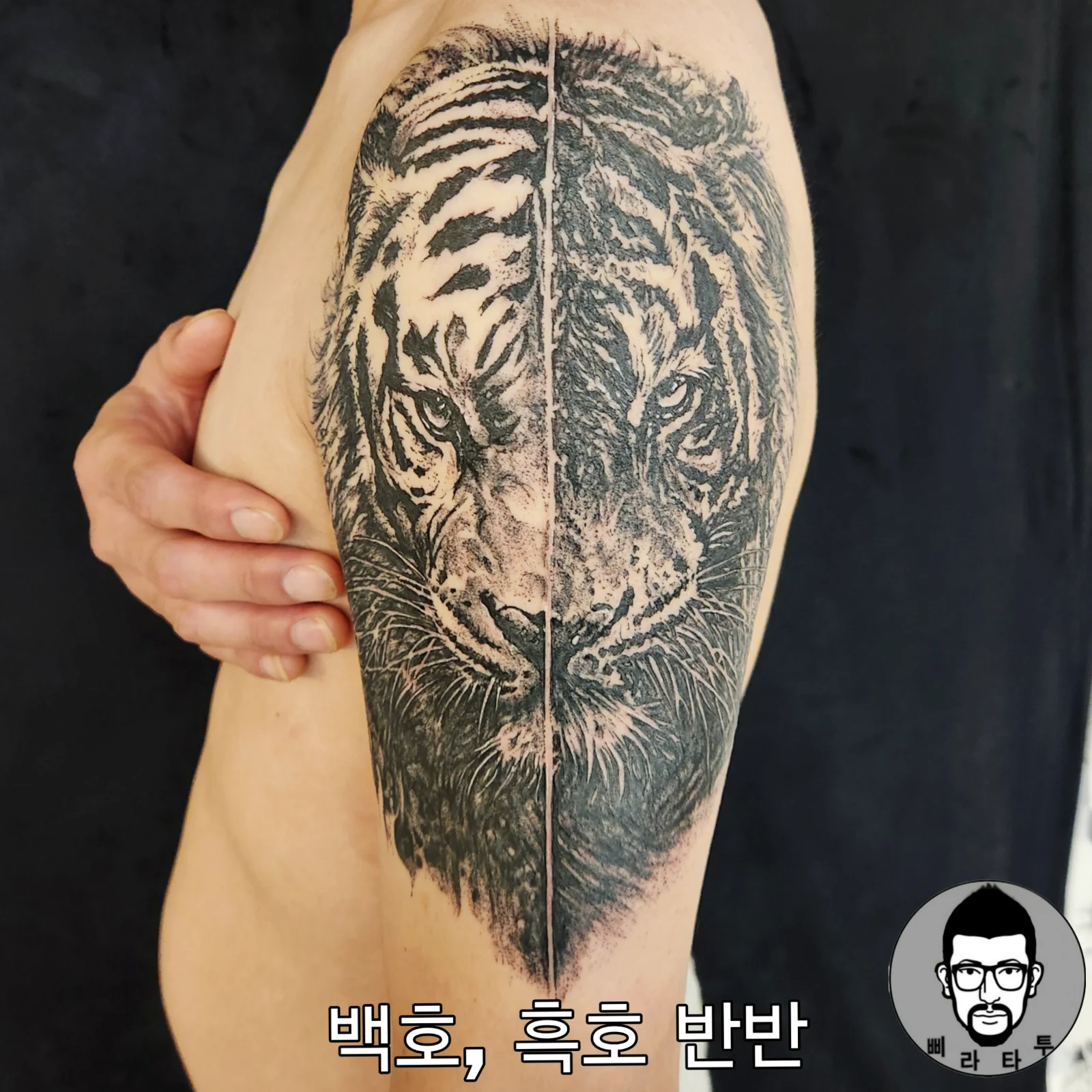 호랑이 타투, 반반의 매력과 의미