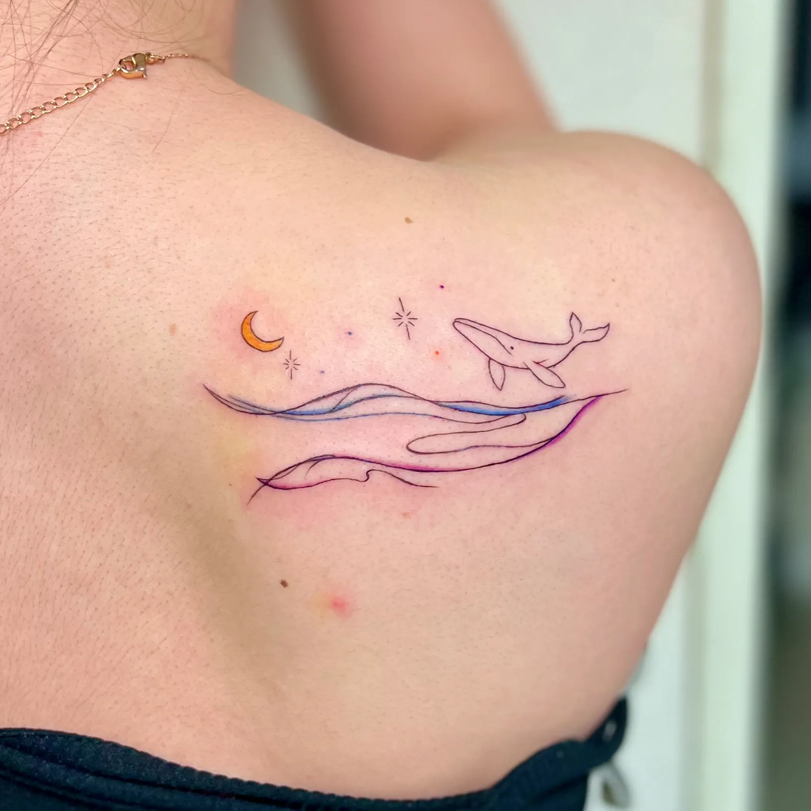 ๋ฑ์ด๊นจ ์ผ๋ฌ์คํธ ํํฌ: ๊ณ ๋์ ํ๋๋ฅผ ๋ด๋ค