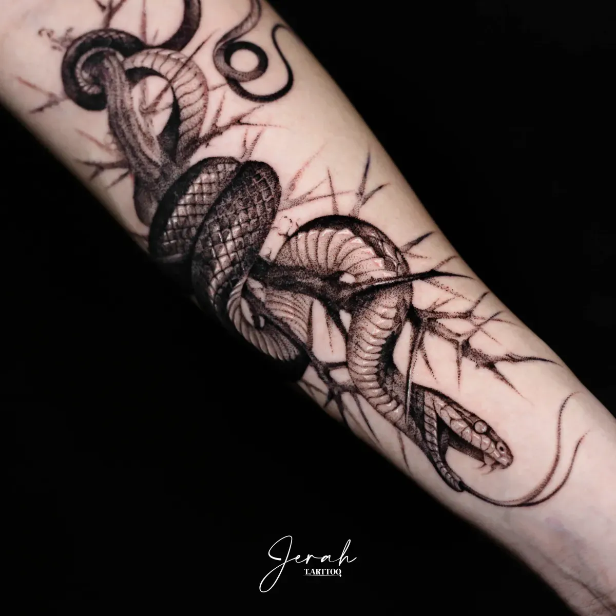 이레즈미 모델 모집