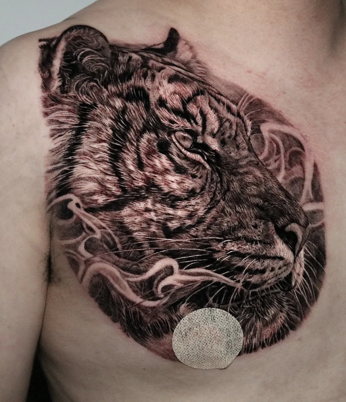 ๋ธ๋์ค๊ทธ๋ ์ด ํธ๋์ด ๊ฐ์ดํํฌ - ๊ตฌ์๋ํํฌํ๋์์ ์จ์ ์์ ์ ํํ