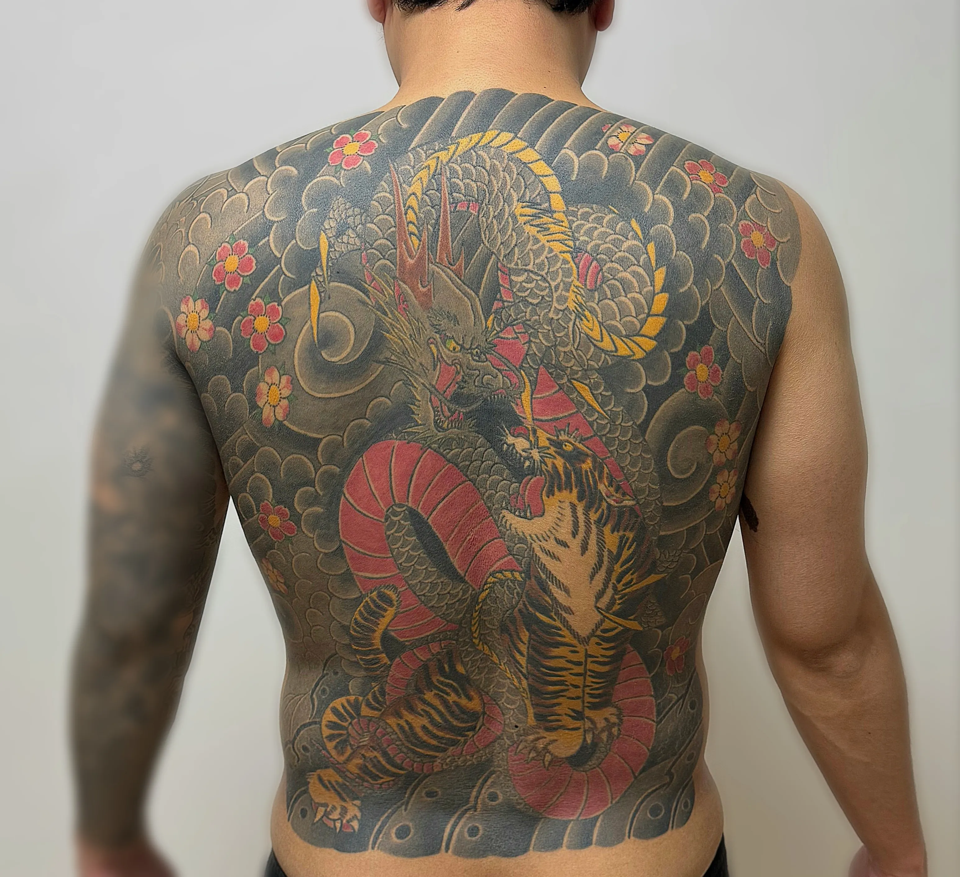 신촌에서 만나는 용호상박 이레즈미 등판 타투