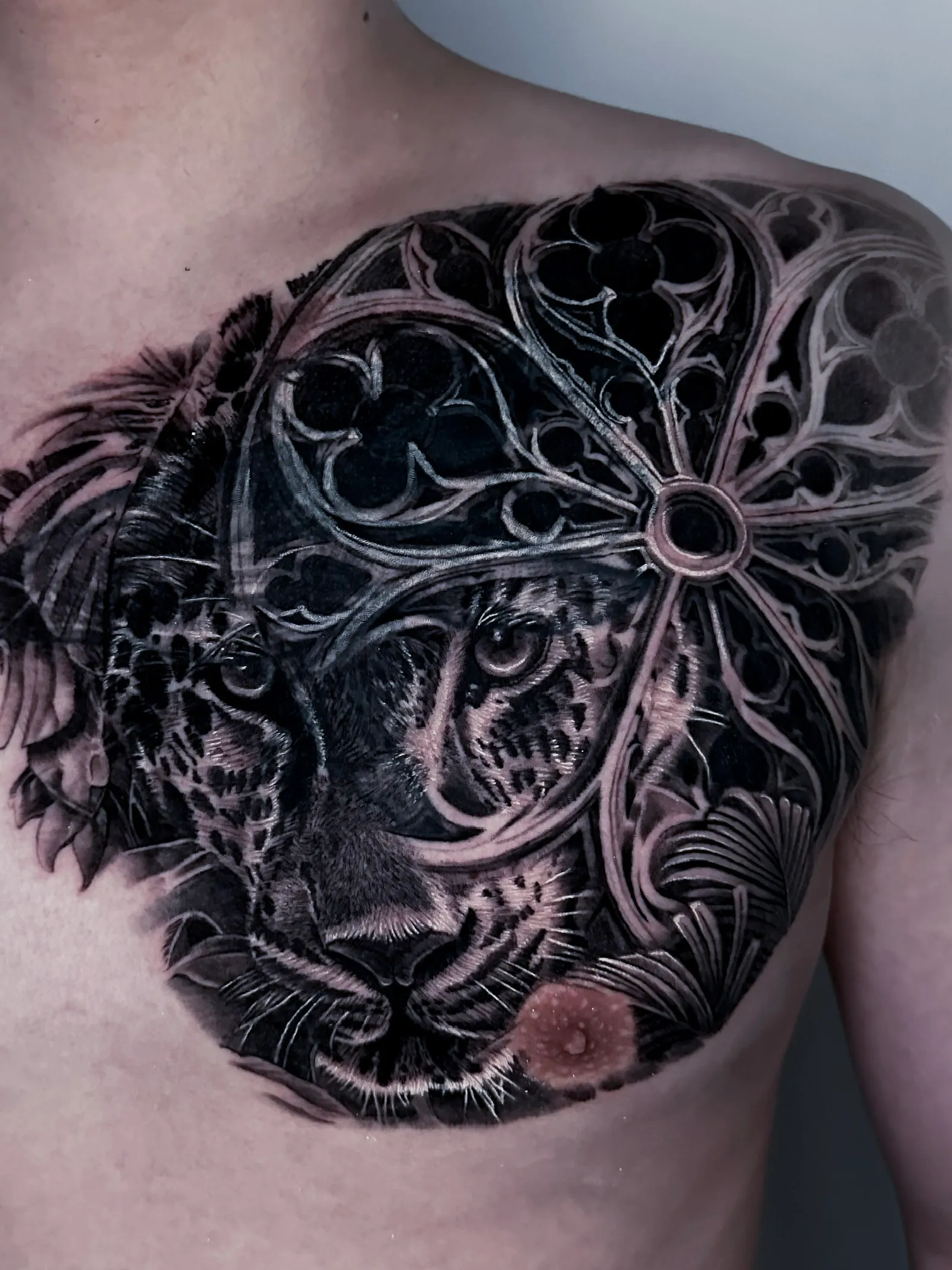 ์ปค๋ฒ์
๋ฆฌ์ผ๋ฆฌ์คํฑ ํํฌ: ๊ฐ์ด์ ์๊ธด ์์