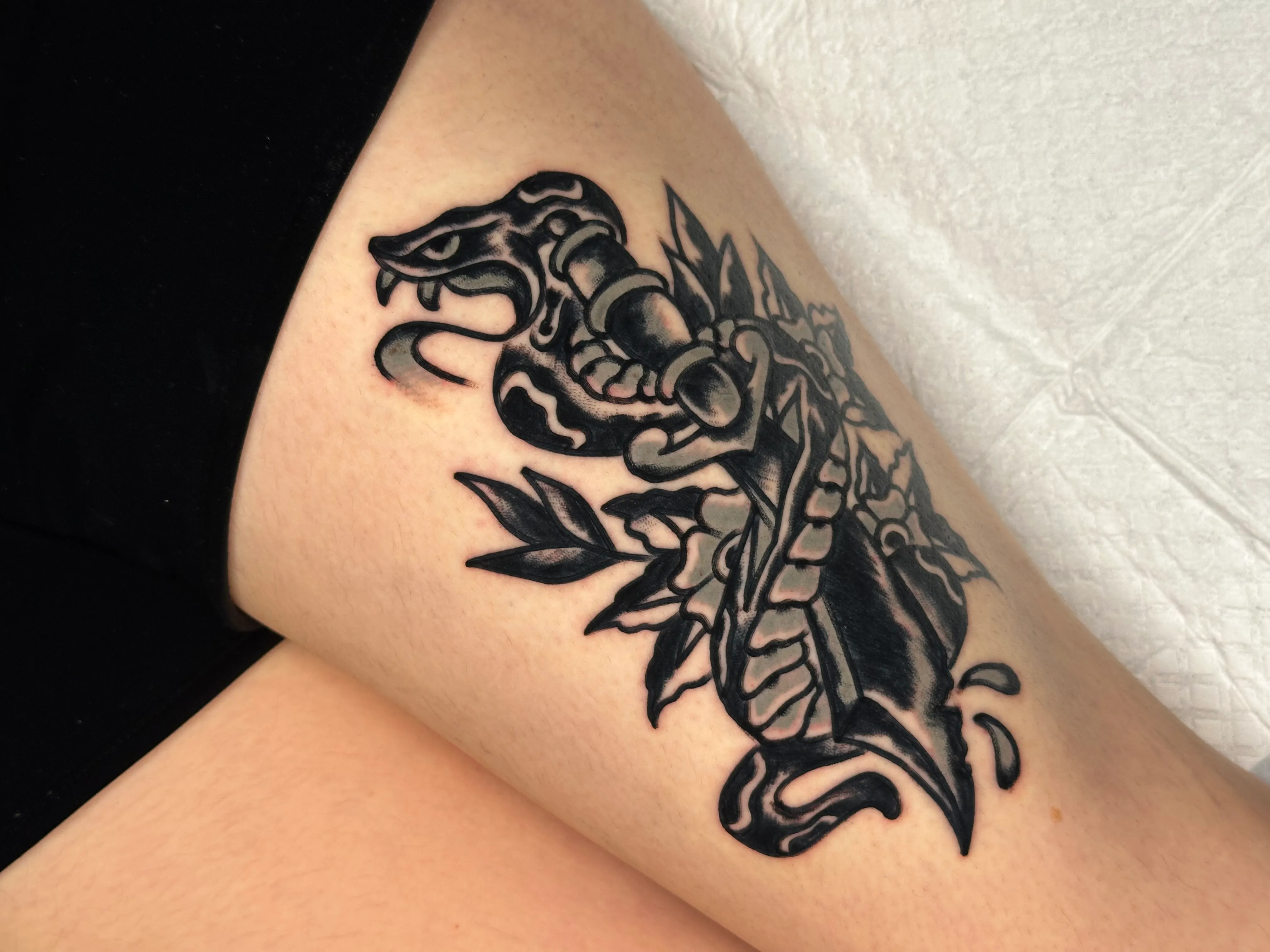 ์ฌ๋์ค์ฟจ ์๋ฐ๋ฅํฌ๊ธฐ ๋ธ๋์ค์ฟจ ํํฌ