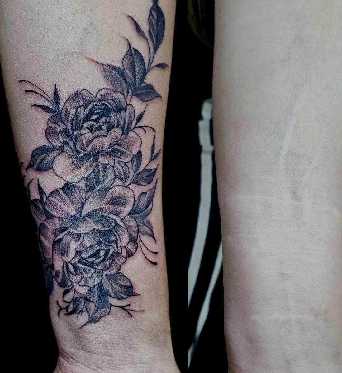 ์ปค๋ฒ์
ํํฌ: ์์ฐ, ์ํฅ, ๊ด๋ช
์์์ ์๋ก์ด ์์