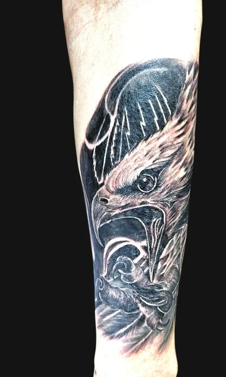 ๋ฆฌ์ผ๋ฆฌ์คํฑ ๋
์๋ฆฌ ํํฌ: ์์ฐ, ์ํฅ, ๊ด๋ช
์ง์ญ์์์ ๋ช
ํ ์ํ